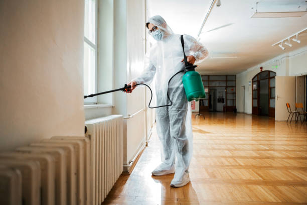 Best Best Pest Control Companies  in Battle Mountain, NV