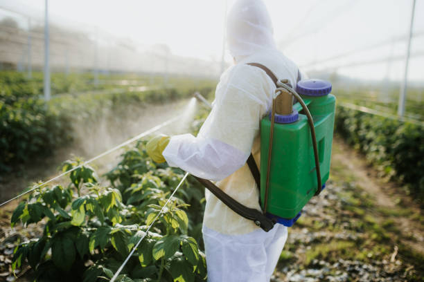 Best Exterminator Services  in Battle Mountain, NV
